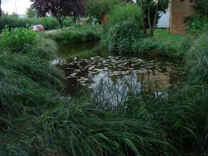 Regenauffangbecken